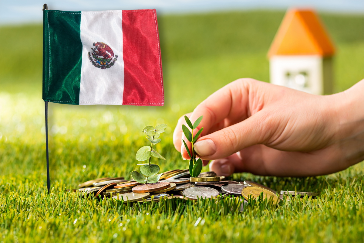 Estos Son Los Sectores Más Atractivos Para La Inversión Extranjera En México Ladomx 6393