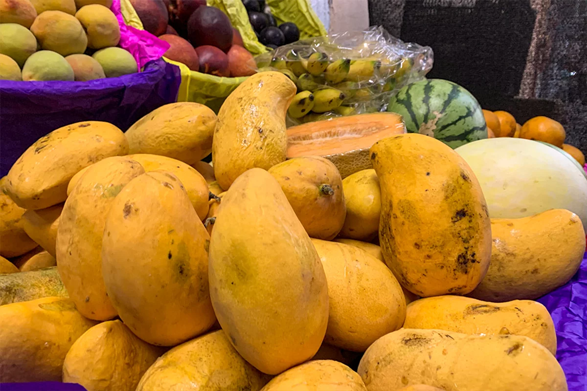 Foto: Sergio Cara (NotiPress)