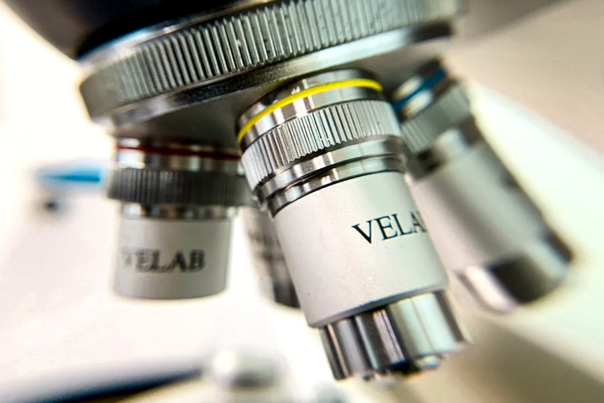 Foto: Sergio Cara (NotiPress)