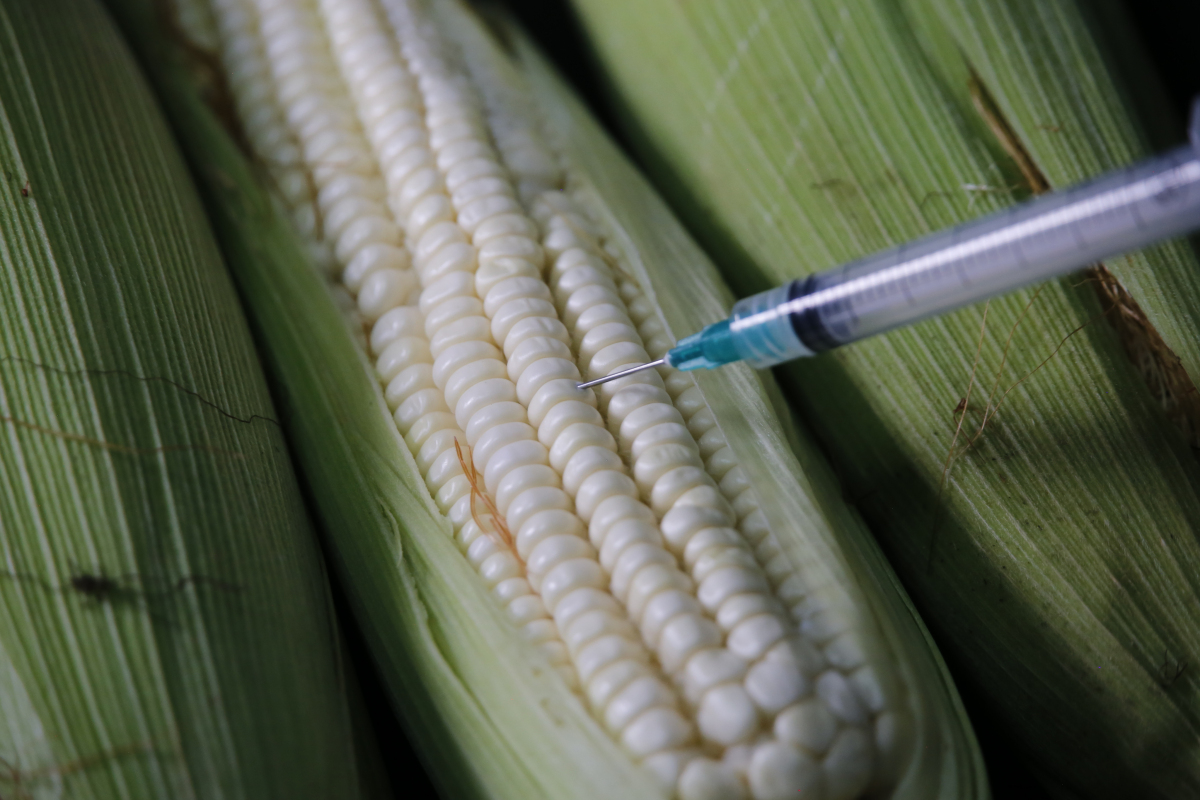 Banning genetically modified corn: Demand and reconciliation between Mexico and the United States