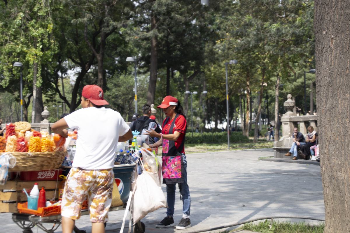 Trabajo Informal En México Es Ligeramente Mayor Al Promedio Latinoamericano Oit Economía 7580