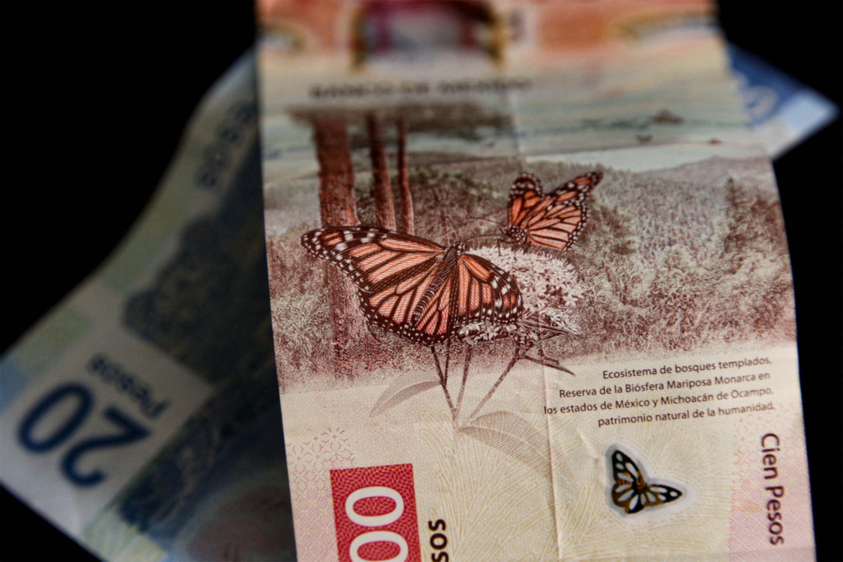 Edomex recibió más de 12 mil millones de pesos por participaciones ...