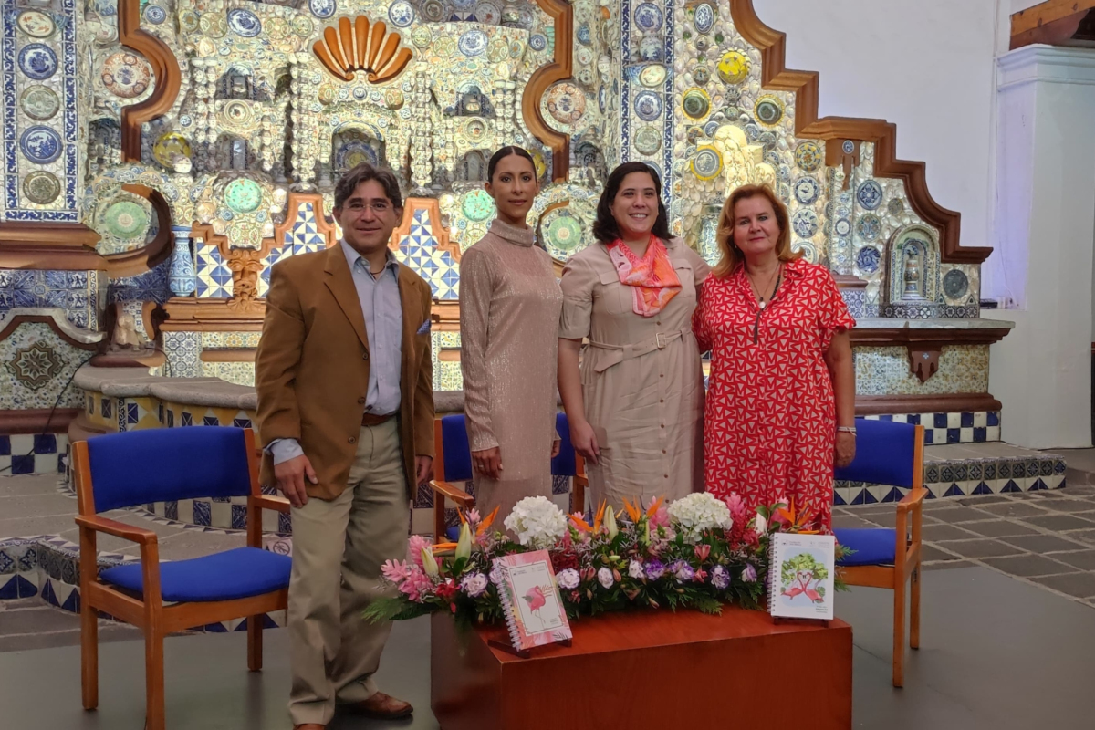Conservación de flamencos rosados une a fundaciones mexicanas en Yucatán - Estilo de vida y salud