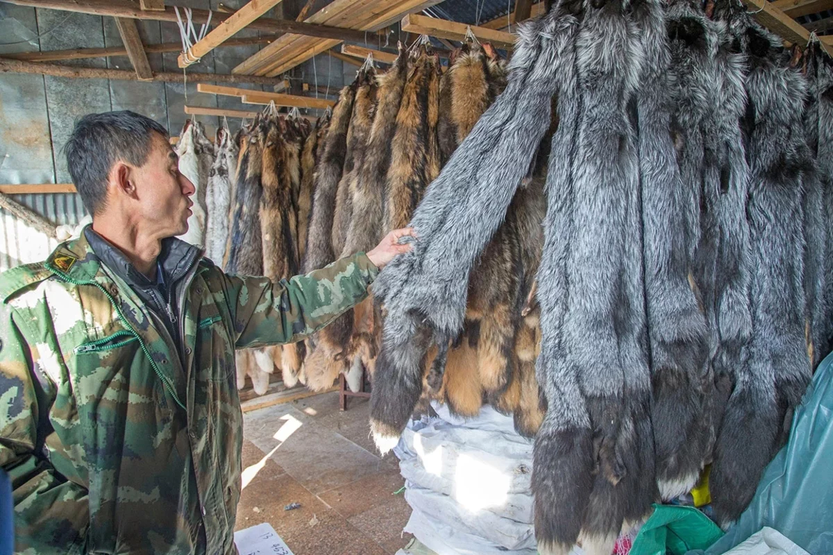 Foto: Sylvain Cordier/Hemis via Alamy