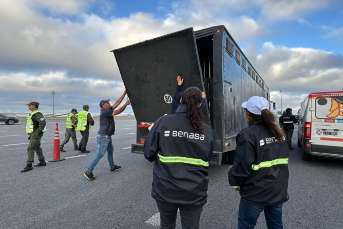 Foto: Gobierno de Argentina