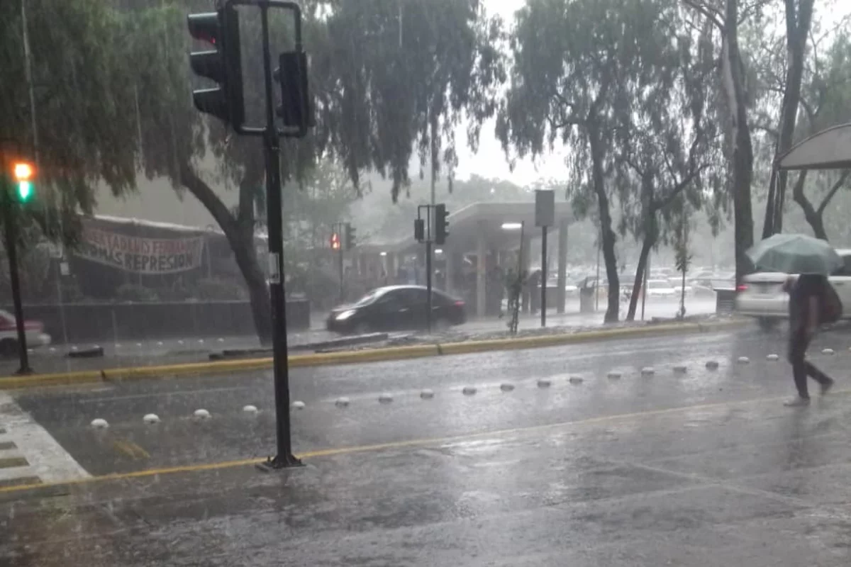 Foto: Patricia Manero (NotiPress)