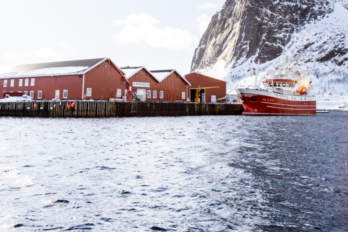 Norwegian Seafood Council (NSC) Alt
