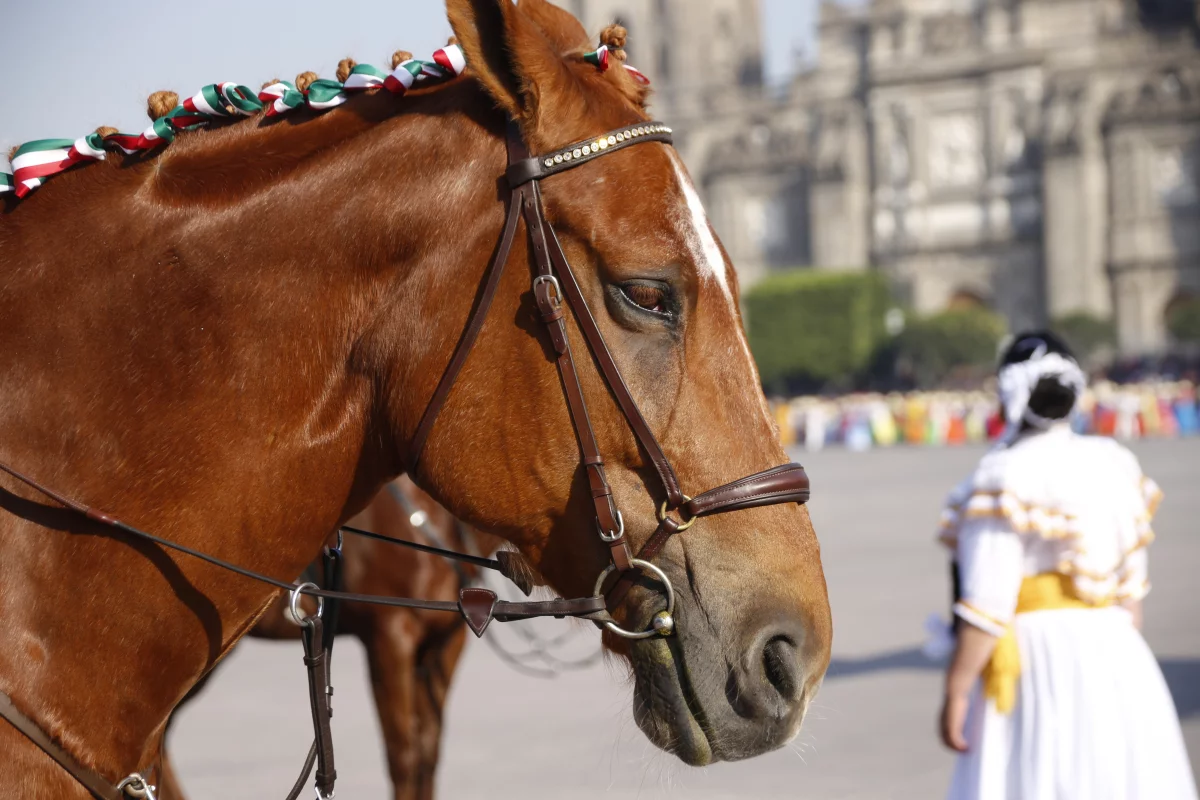 Foto: Sergio F Cara (NotiPress)