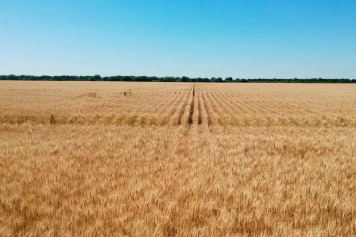 Foto: Gobierno de Argentina
