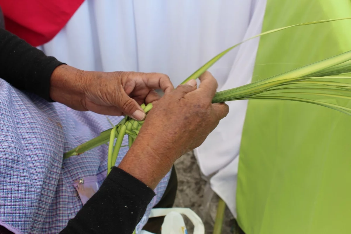 Foto: Gobierno Edomex
