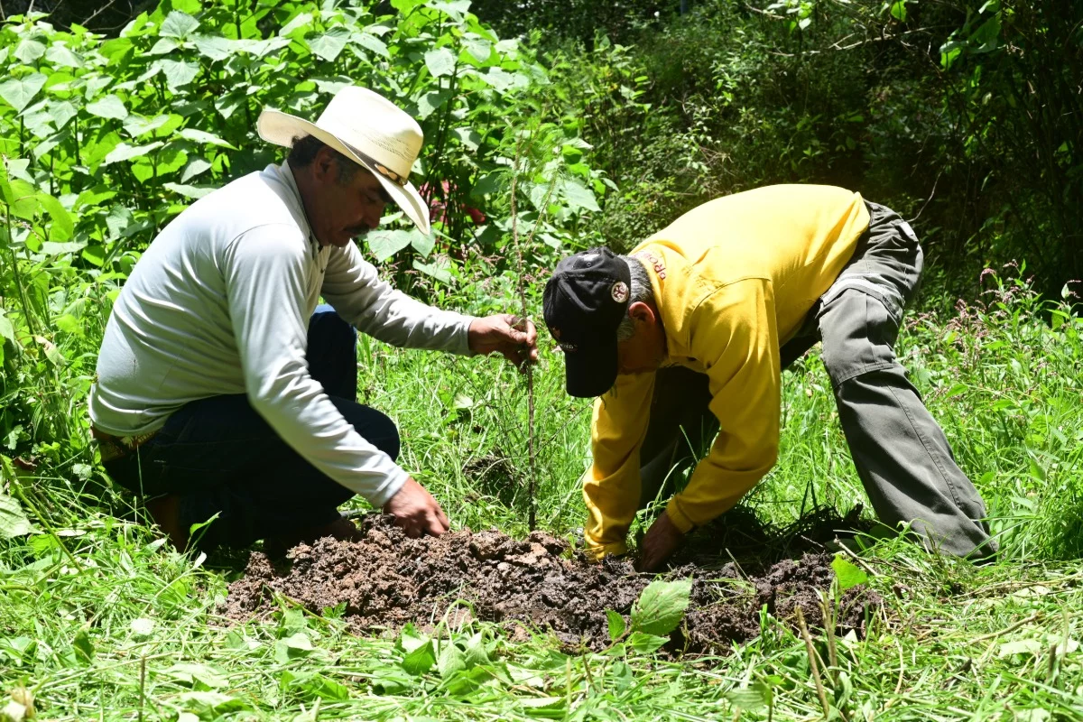 Foto: Gobierno Edomex
