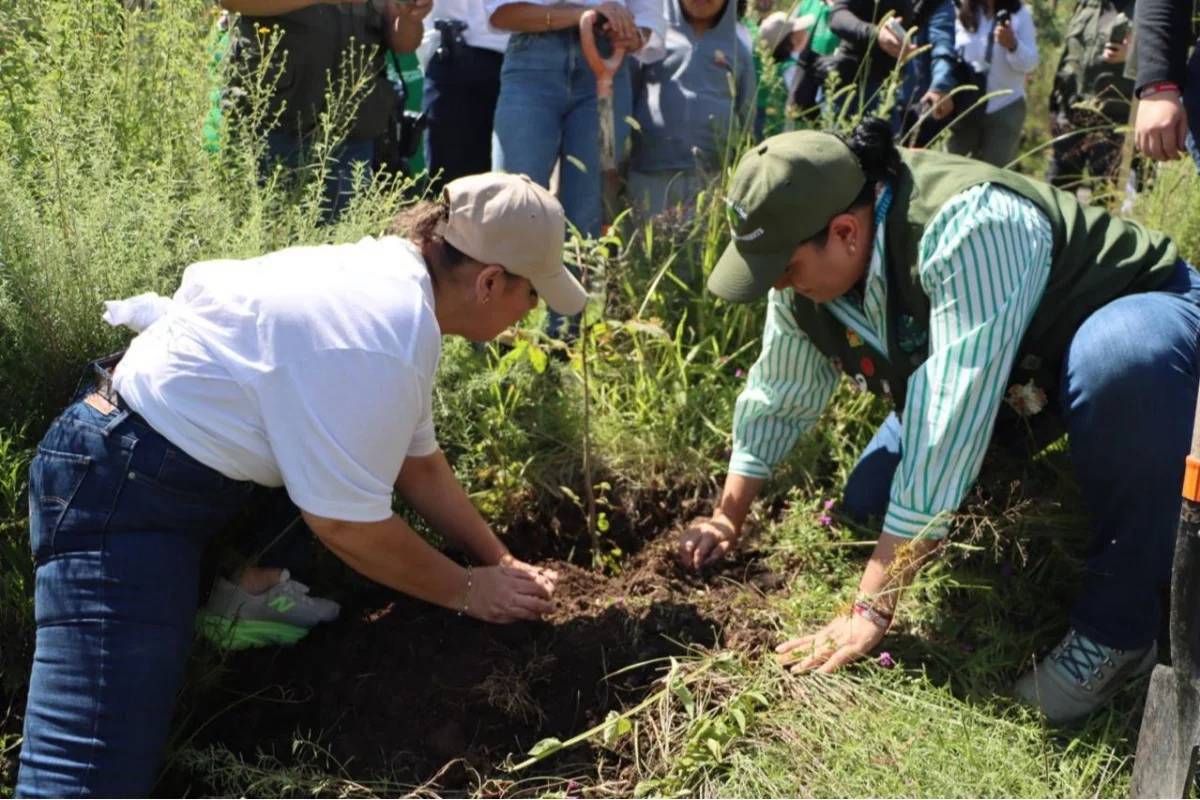 Foto: Gobierno Estado de México