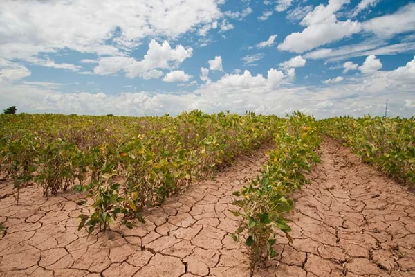 varonil Bocadillo paquete Cuál será el impacto del calentamiento global en la agricultura? Esto dice  la NASA - Internacional