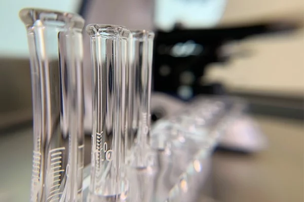 Foto: Sergio Cara (NotiPress)