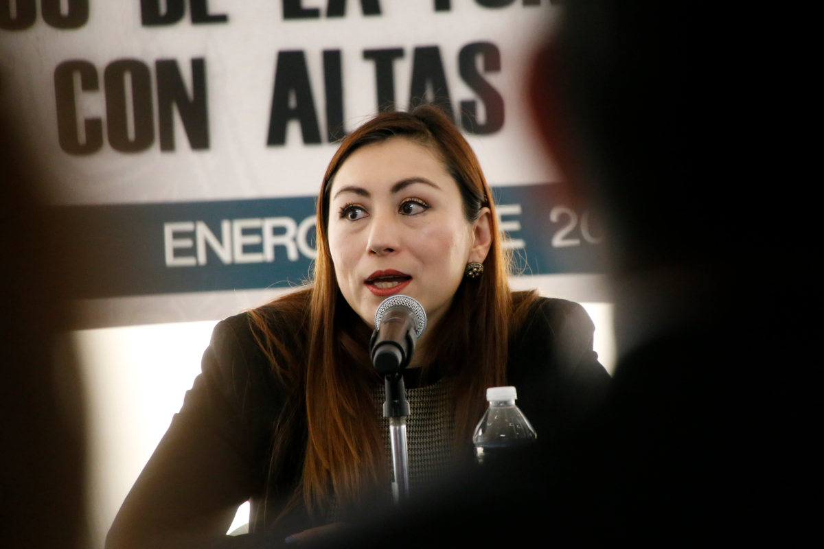 Araceli Zaragoza Medina, directora del CEDIS (foto Sergio F Cara/NotiPress)