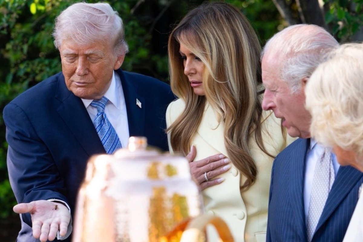 Trump mostró a los monarcas la colmena de la Casa Blanca, presentada por la administración como parte de sus "iniciativas ambientales" dentro del complejo presidencial. Fuente: X White House