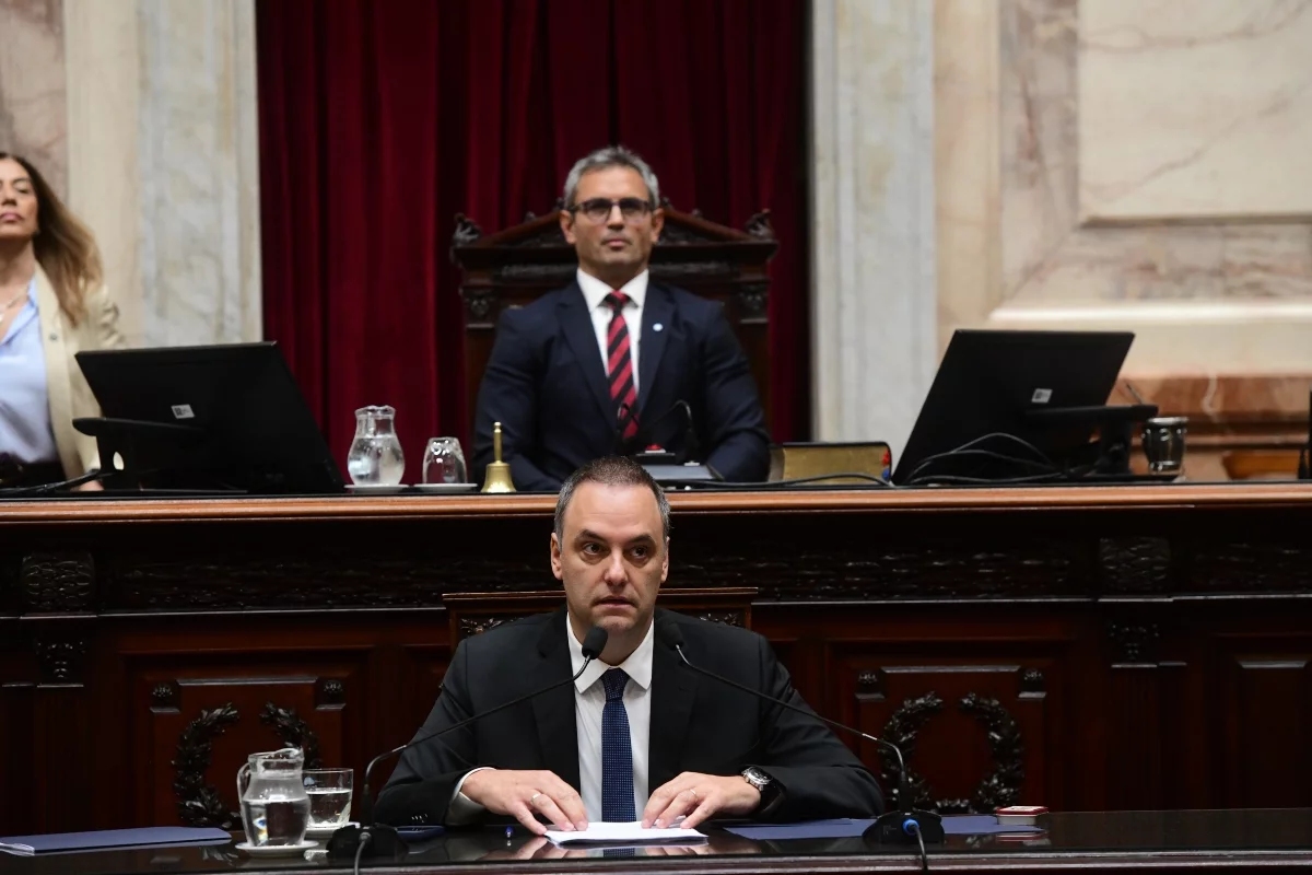 Fuete: x @DiputadosAR