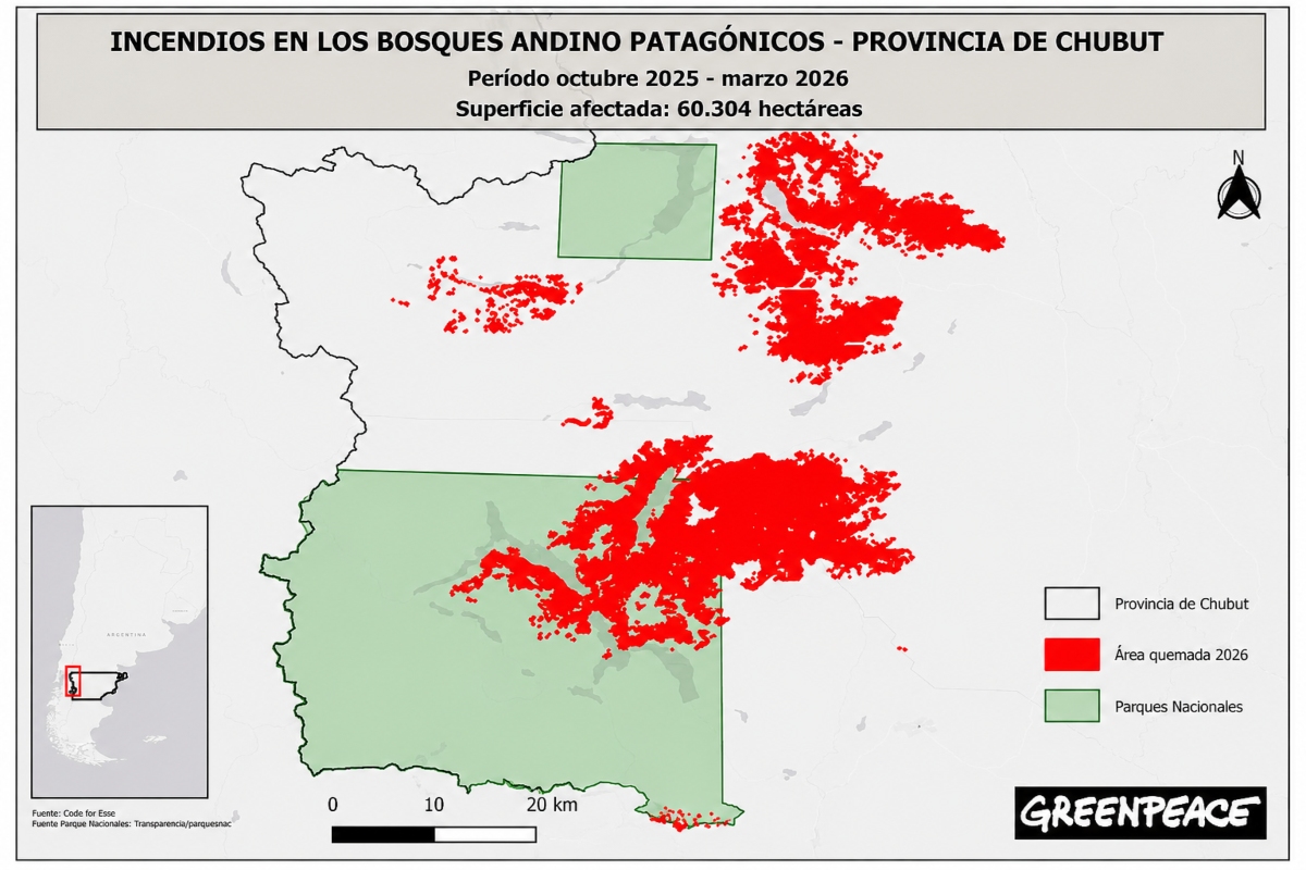 Greenpeace