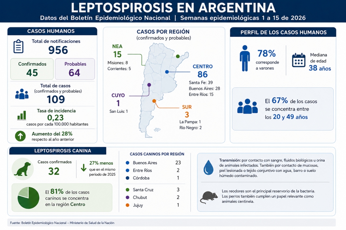 Martin Olivera (Composición/NotiPress) con datos del Boeletín epidemiológico 