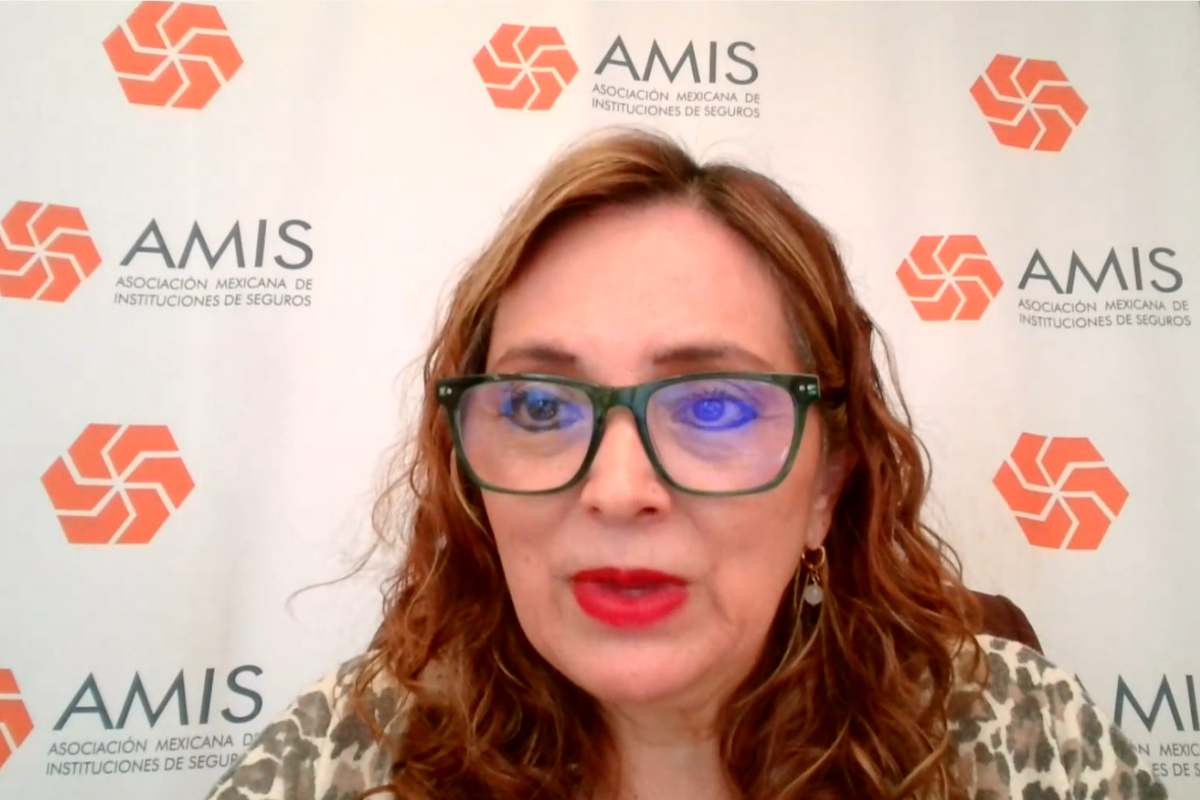Norma Rosas Rodríguez, directora general de la AMIS
