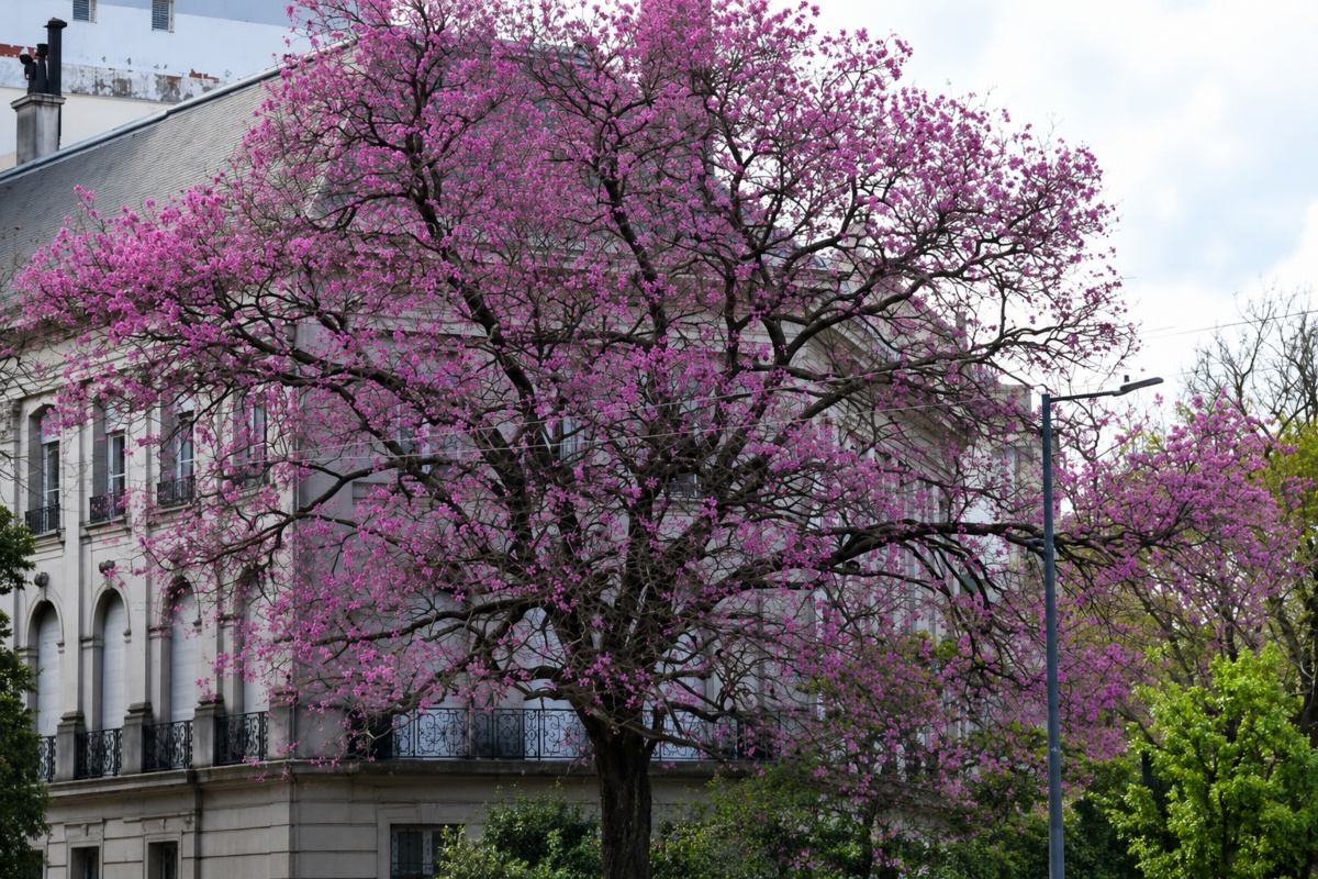 Gobierno de la Ciudad de Buenos Aires