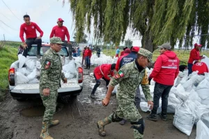 Gobierno de Edomex