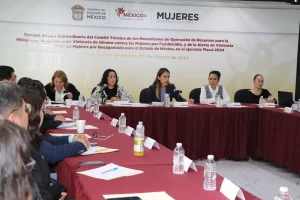 Gobierno de Edomex