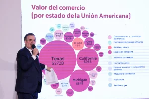 Gobierno de México