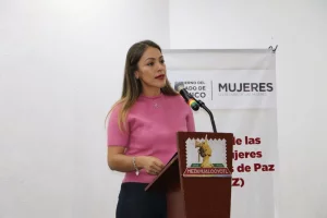 Gobierno de Edomex