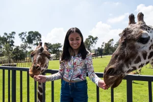 Gobierno de Edomex