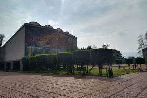 Patricia Manero (NotiPress)