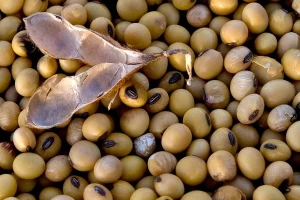 Ministerio de Agricultura y Desarrollo Rural