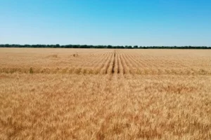 Gobierno de Argentina