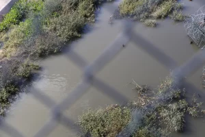 Sergio F Cara (NotiPress)