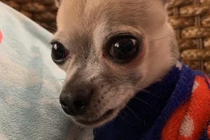 Sergio F Cara (NotiPress)