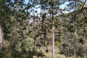 Patricia Manero (NotiPress)