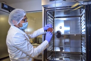 Gobierno Estado de México