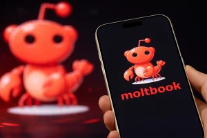 Patricia Manero (NotiPress/Composición)