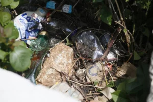 Sergio F Cara (NotiPress)