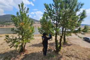 Gobierno Estado de México