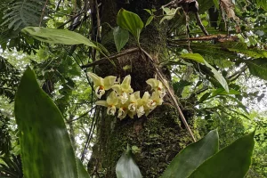 Fundación Pedro y Elena Hernández