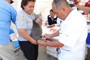 Gobierno Estado de México