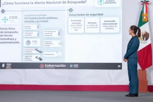 Gobierno de México