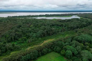 Ministerio de Transporte de Colombia