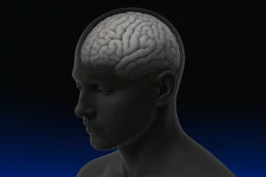 Sergio F Cara (NotiPress/Composición)