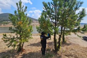 Gobierno Estado de México