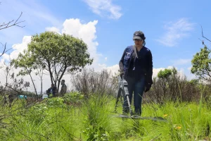 Gobierno Estado de México