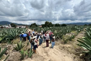 Gobierno Edomex