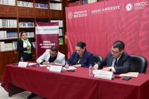 Gobierno de México