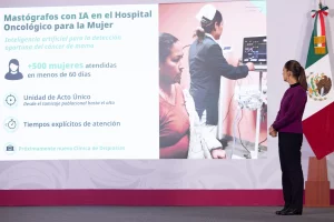 Gobierno de México